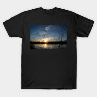 sun setting T-Shirt